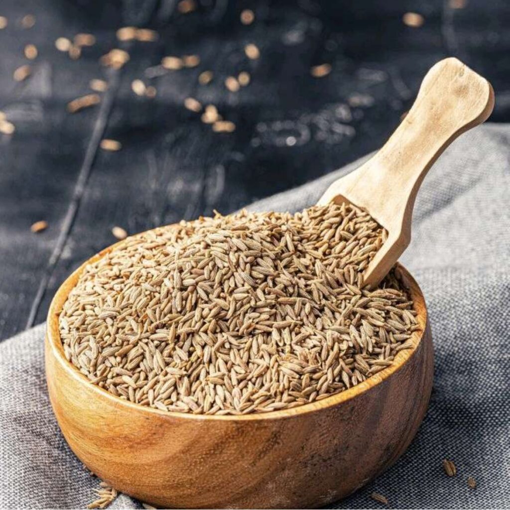 Cumin Powder (Jeera) — premium export spice